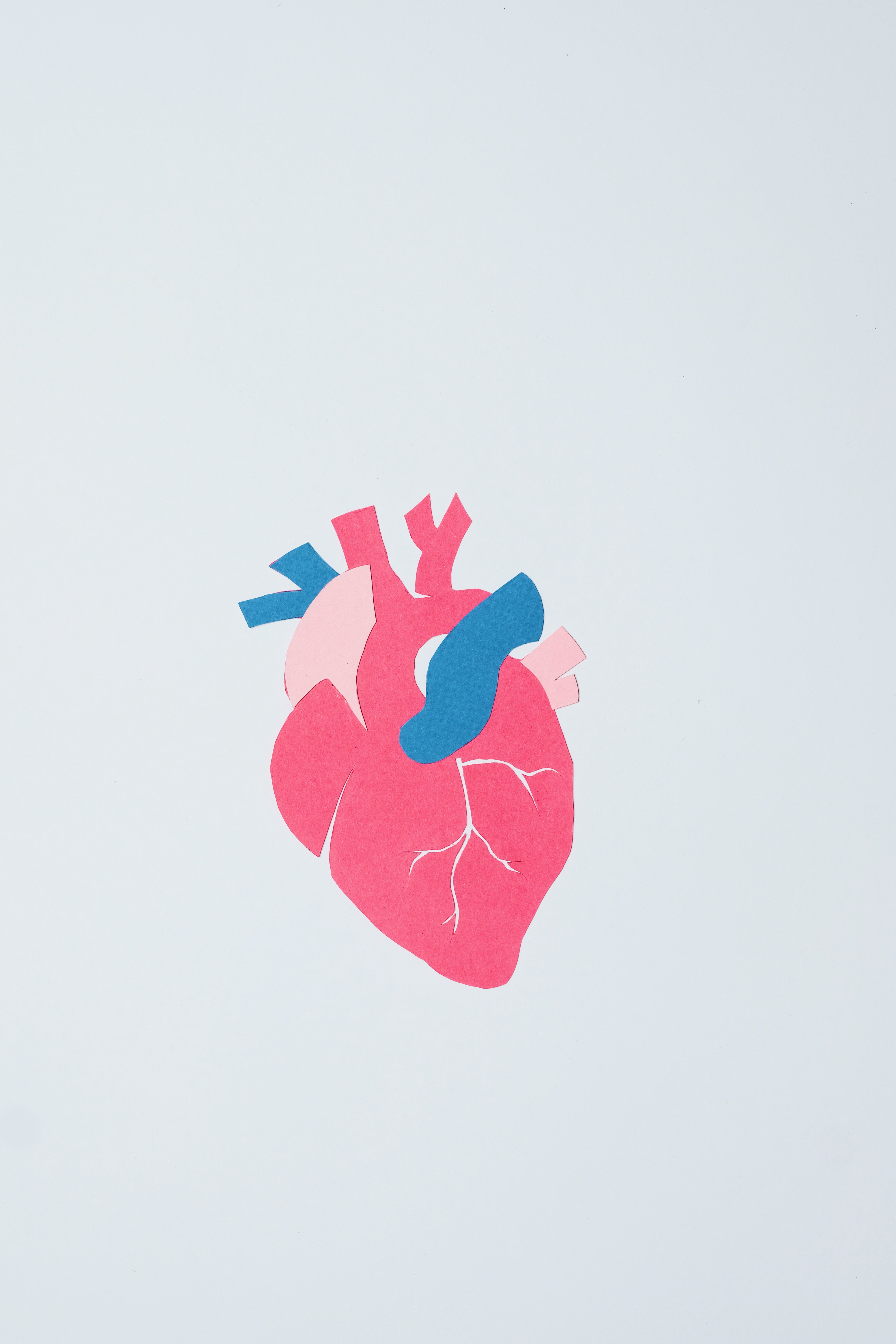Cardiology