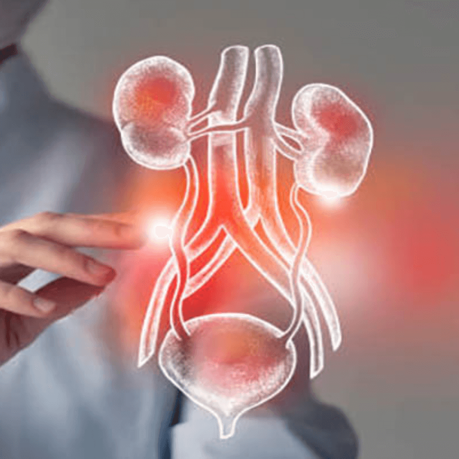 Nephrology