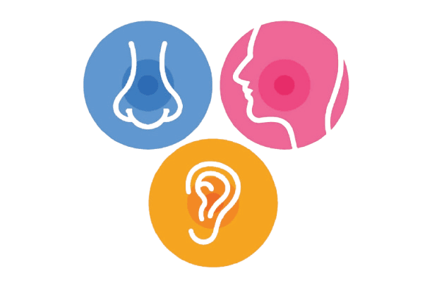 Otorhinolaryngology (ENT)